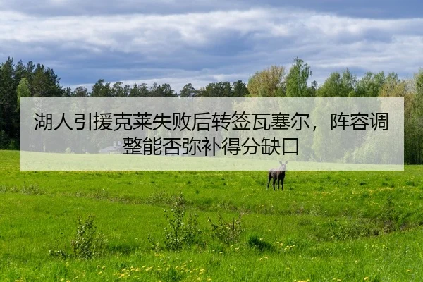 湖人引援克莱失败后转签瓦塞尔，阵容调整能否弥补得分缺口